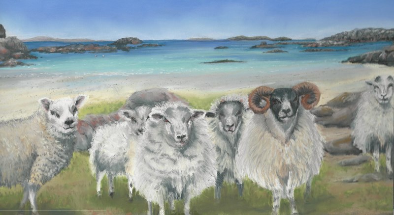 Fidden sheep (pastel)