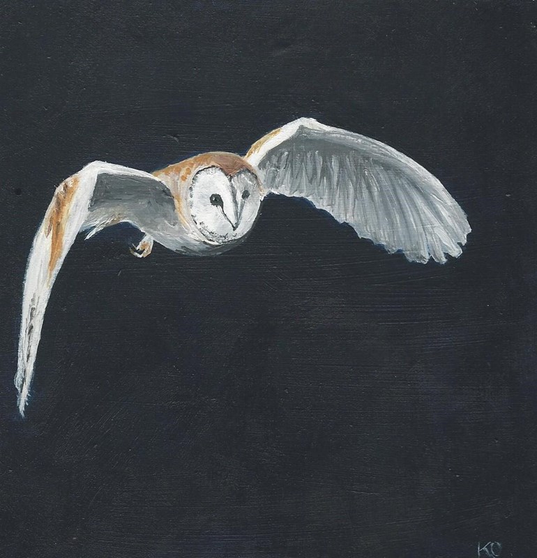 Barn owl (acrylic; image courtesy of Les Liddle)