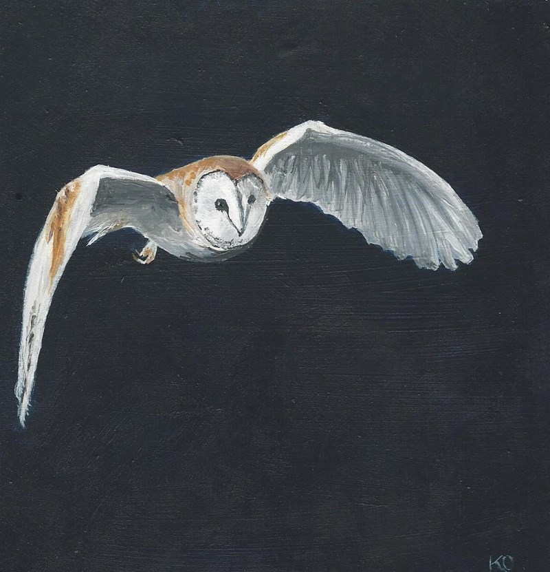 Barn owl (acrylic; image courtesy of Les Liddle)