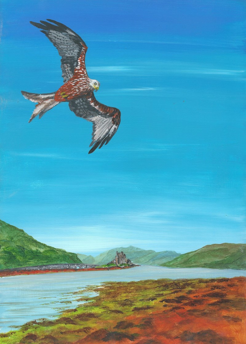 Red kite over Eilean Dolan (acrylic; images courtesy of Les Liddle and Conor Molloy)