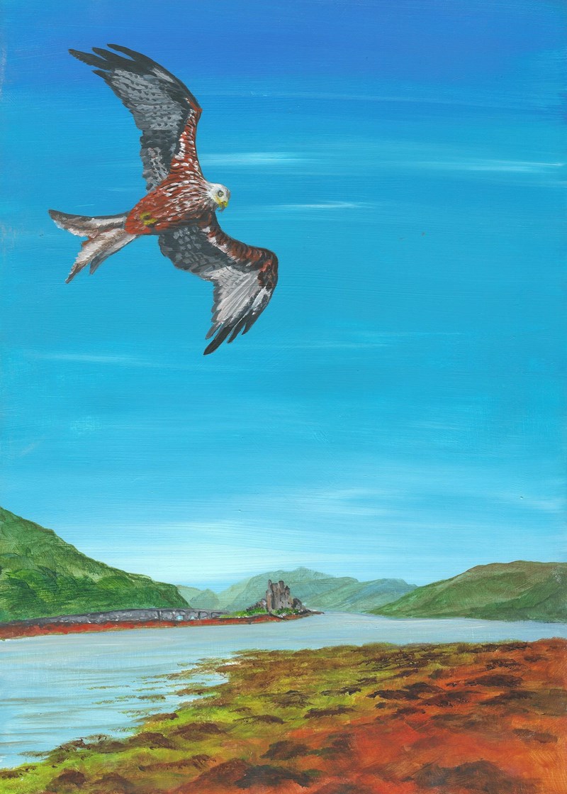 Red kite over Eilean Dolan (acrylic; images courtesy of Les Liddle and Conor Molloy)