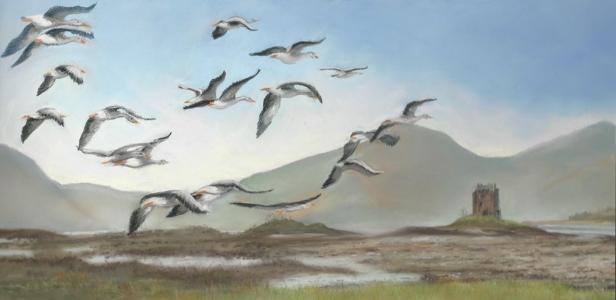 Flying to Castle Stalker (pastel)