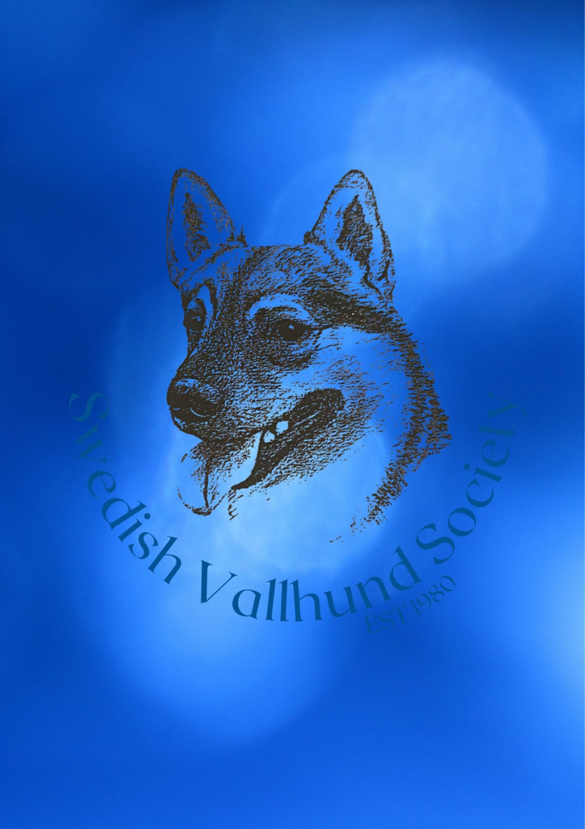 Swedish Vallhund Society | News | Breed notes 27.5.24