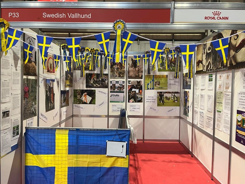 Our Swedish Vallhund Stand