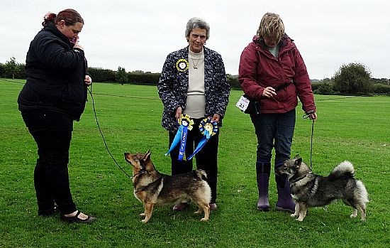 2017-champ-show-dog-cc-rcc