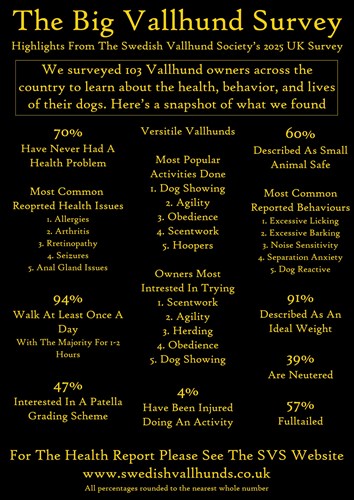 Swedish Vallhund Health Report 2025