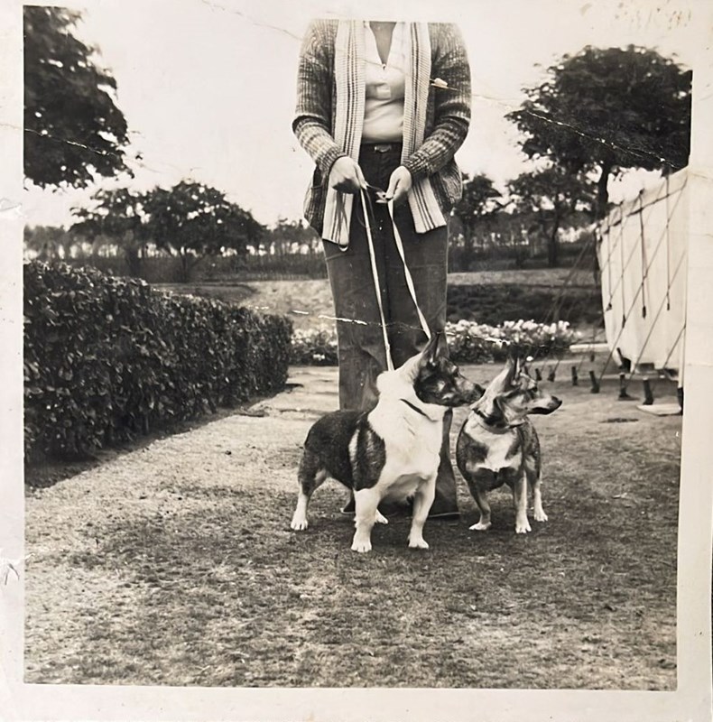 Ryslip puppies from an early litter