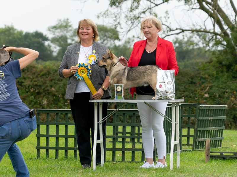 SVS Champ Show 2024