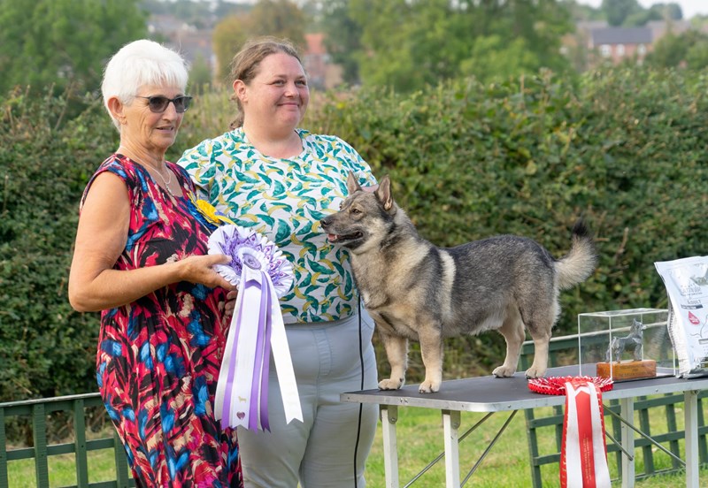 Judge Pat Drinkwater with Best in Show