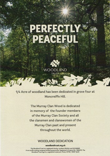 THE MURRAY CLAN WOODLAND