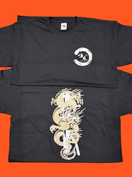 Dragon t shirt