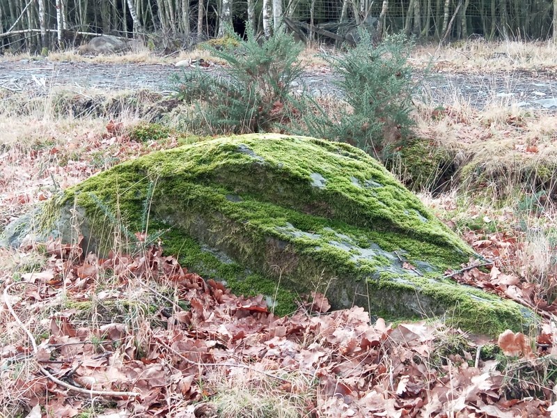 Witches Stone