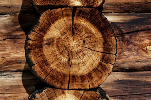 Highland Woodturners Club Training Programme