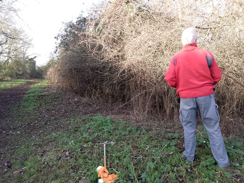 view of workparty cutting back brambles