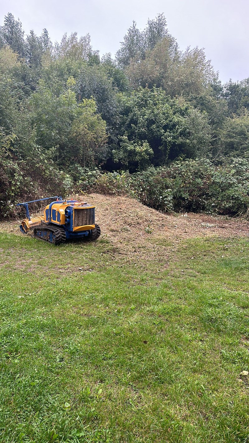 Robot mowing
