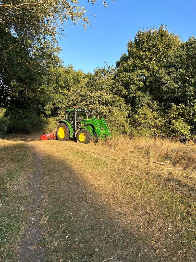 Mowing of area surrounding the lake