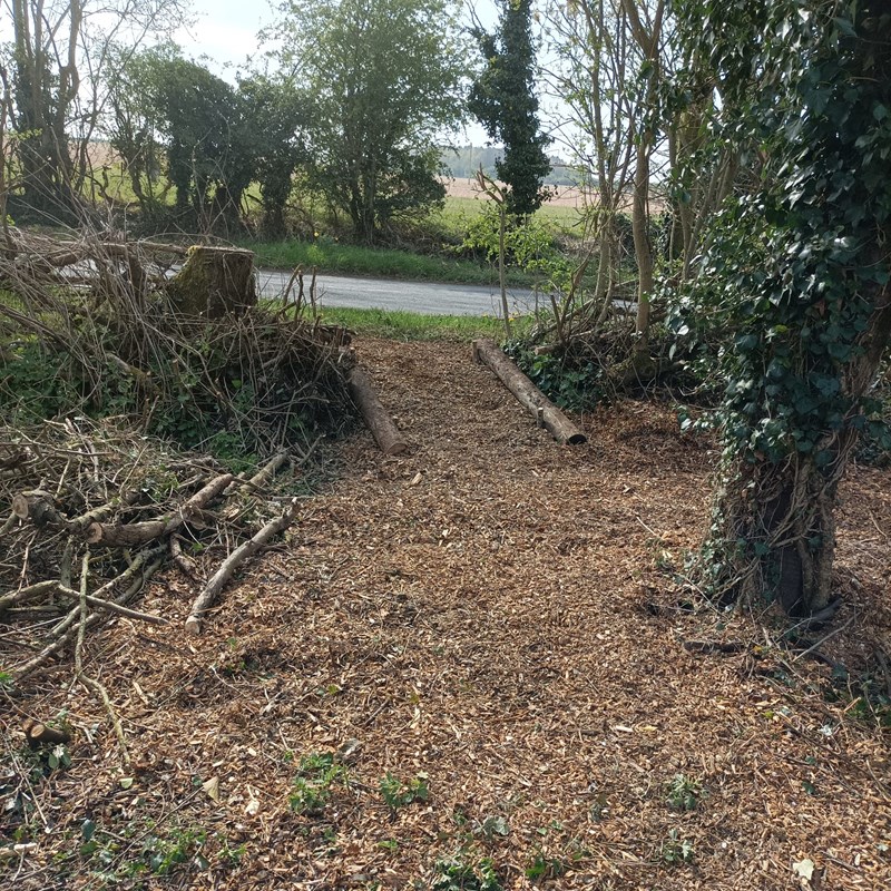 pedestrian access into the carpark