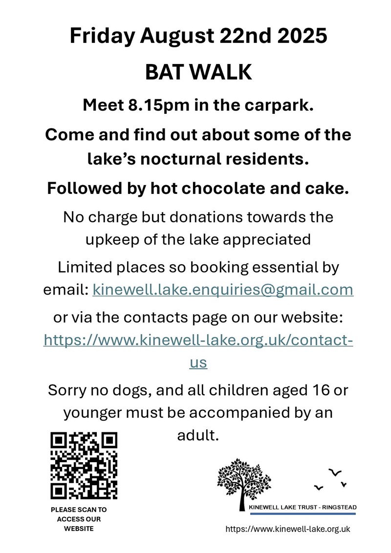 information about bat walk on August 22nd 2025