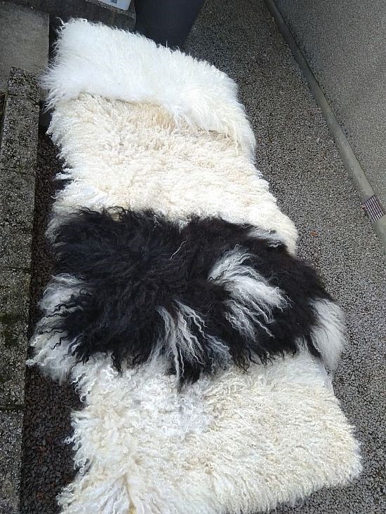 SHEARING CRAFTS