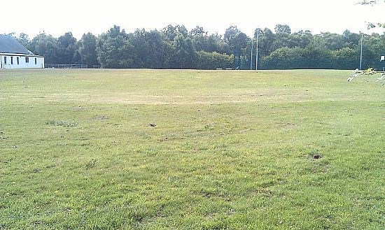 Grounds