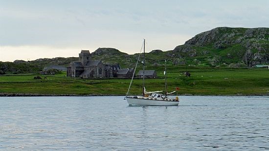 Octopus in Sound of Iona