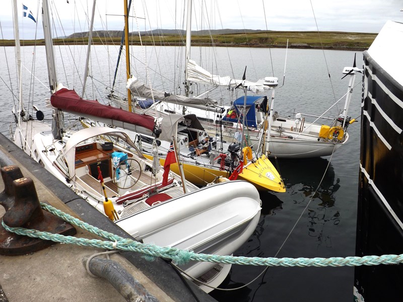 12. Cullivoe 2