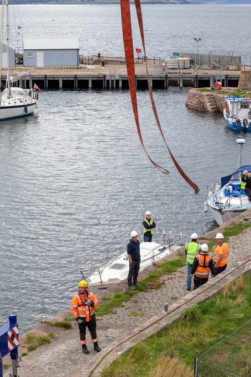 Craning Out 24 12
