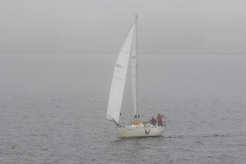 Asterias finish 2024