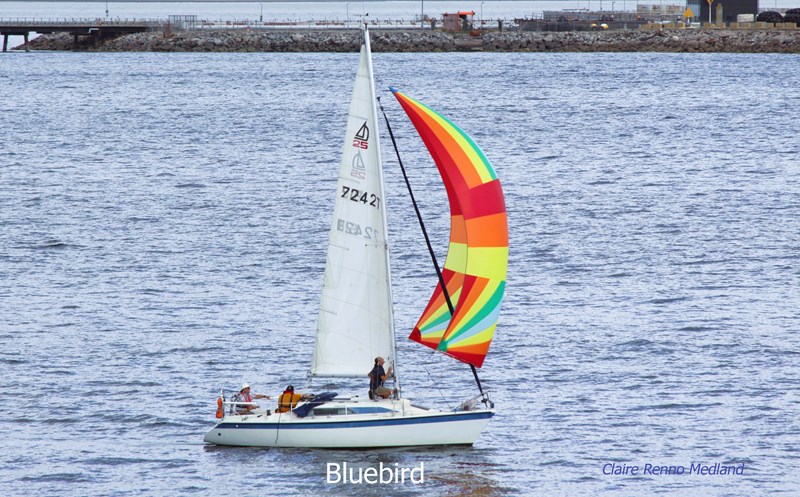 Euan MacKay Dehler 25 Bluebird