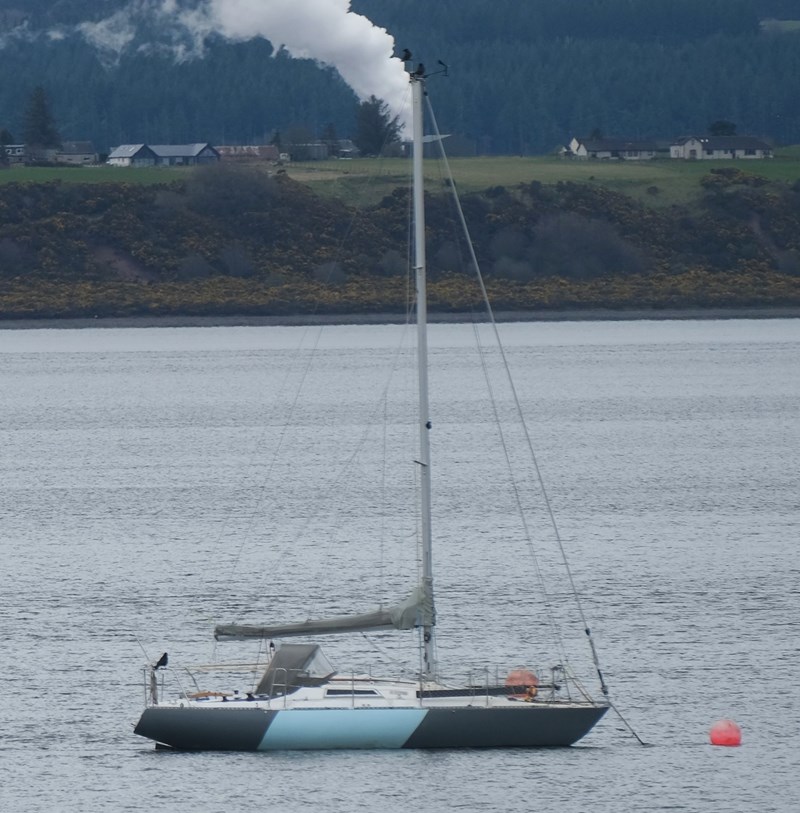 D.Hogan Delph 28 Hava