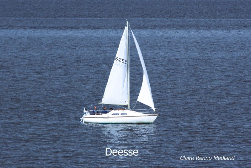 J.Nevin Hunter 701 Deesse