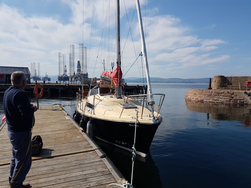 S Balfour-Breach Arunsen780 Bee Bee