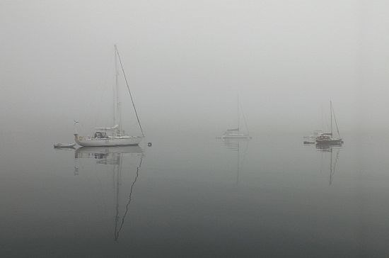 Misty Morn on Jura
