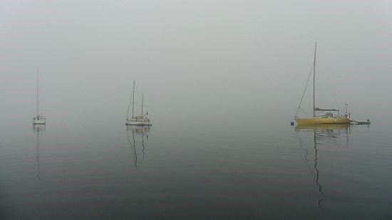 Still Misty