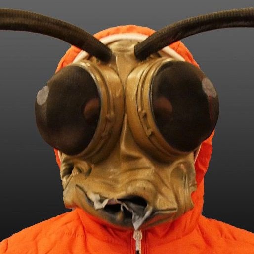 Man dressed as a Midge