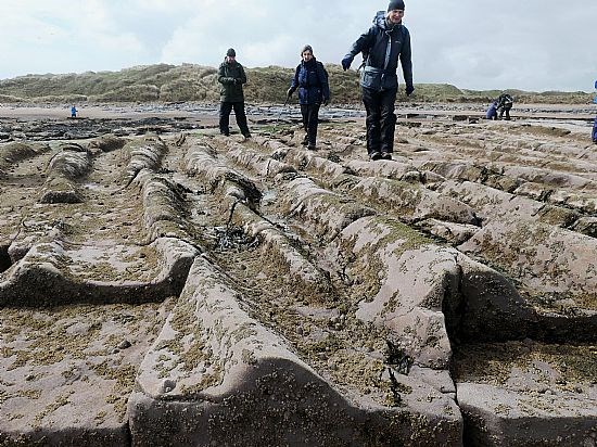 April 2023: Berwickshire Coast
