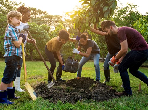 Let's Get Together and Plant a Tree !