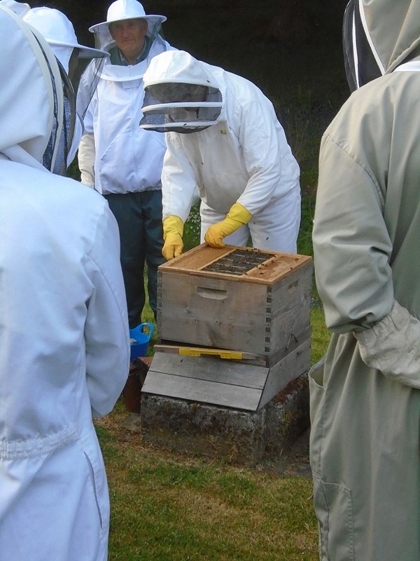 Opening up the Commercial hive - successful outcome!