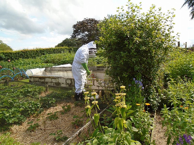 Collecting the last remnants.