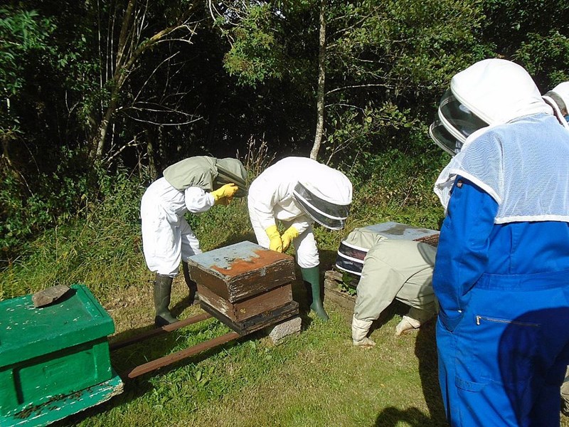 The start of demonstrating hefting a hive