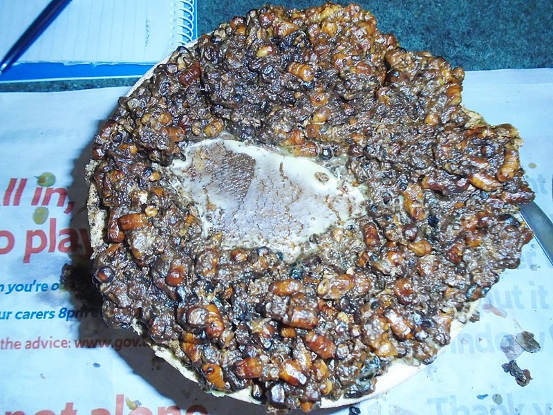 Typical view of the filtered out rubbish. Excellent for starting a bonfire!