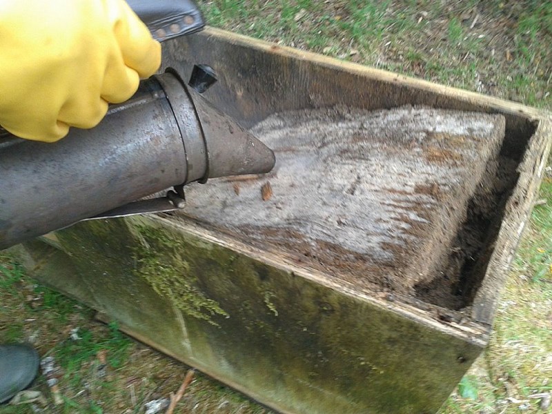 When the box is inverted to remove the floor this thick mat of peat-like debris slowly sank down into the box.