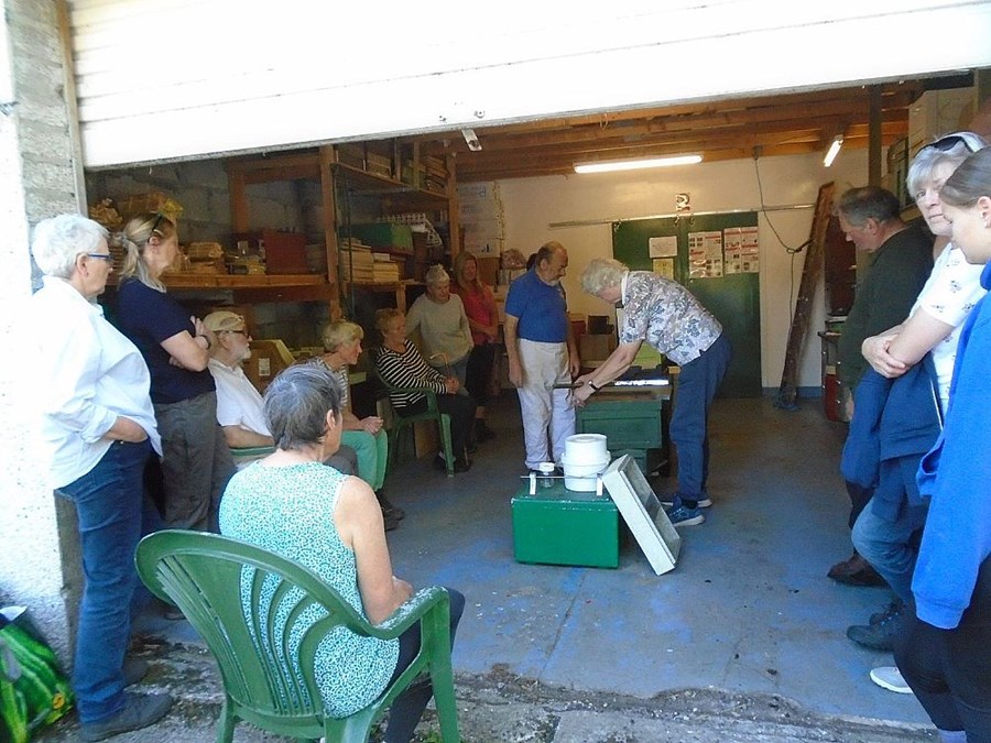 A discussion on the merits of various designs of hives and feeders. Shame about the wasps though!