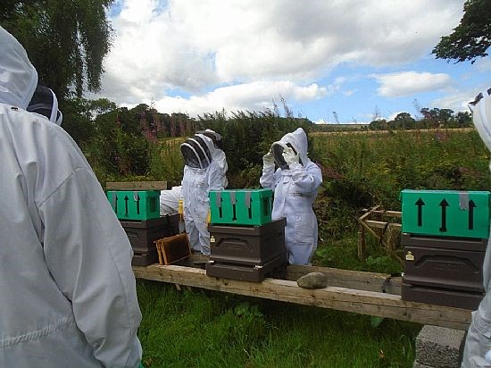 Preparing to move the new Buckfast bees into their permanent home. The first box was a disappointment as the bees had absconded!