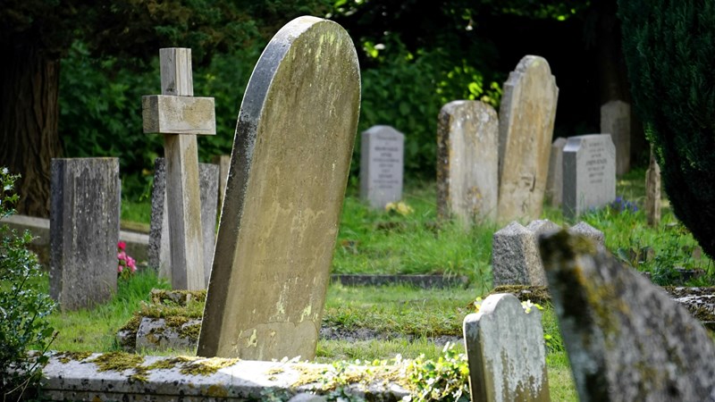 A photograph of gravestones