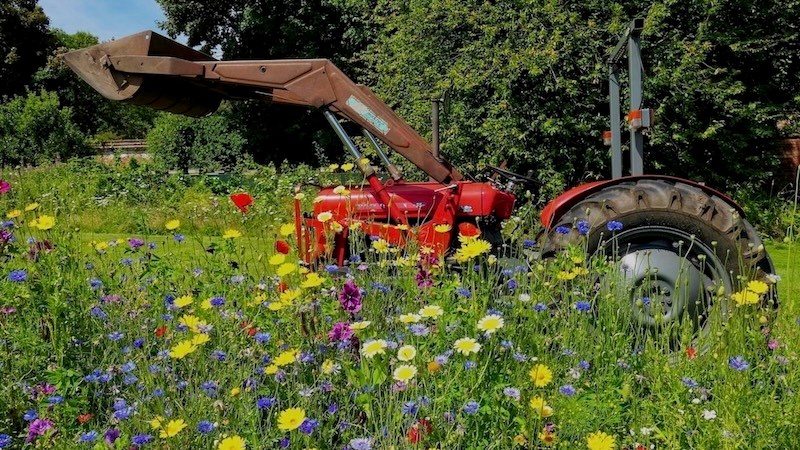 A tractor parked up against flower borders in the Walled Garden
