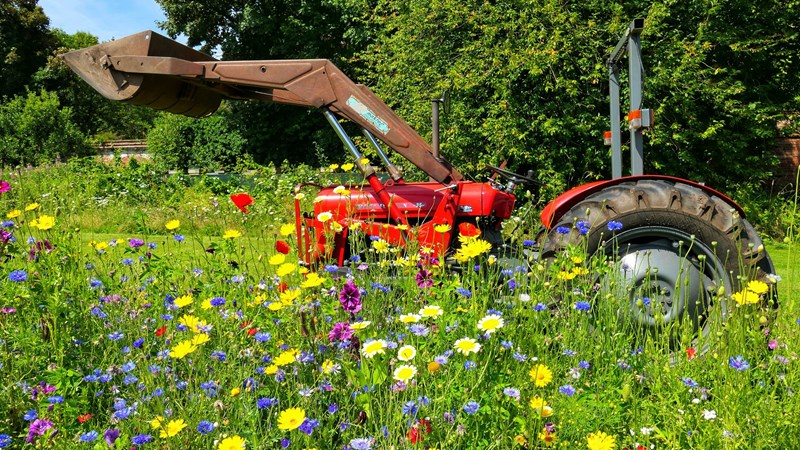 A tractor parked up against flower borders in the Walled Garden