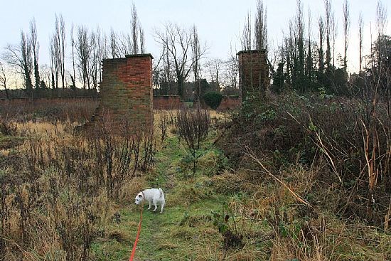 2014 - showing deterioration of the walls