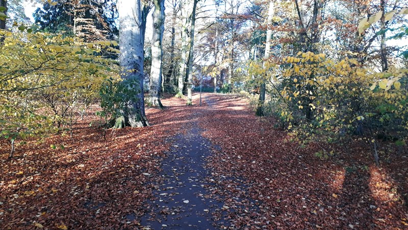 Tarmac path from School