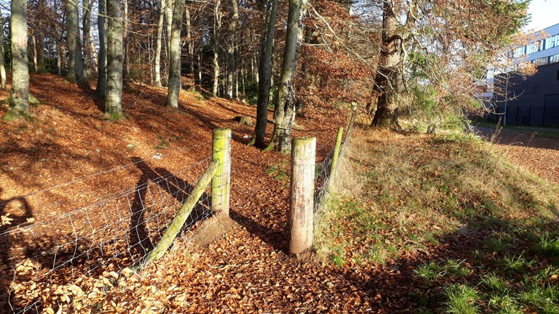 Gate from Culduthel Avenue